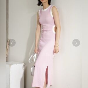 NWT Ghospell Pink Fitted Sunday Brunch Maxi Dress!